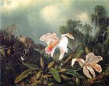 Martin Johnson Heade Famous Paintings - Jungle Orchids and Hummingbirds